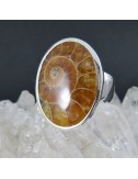 Anillo Ammonite y plata