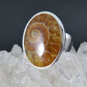 Anillo Ammonite y plata