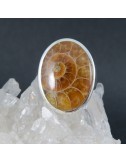 Anillo Ammonite y plata