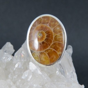 Anillo Ammonite y plata