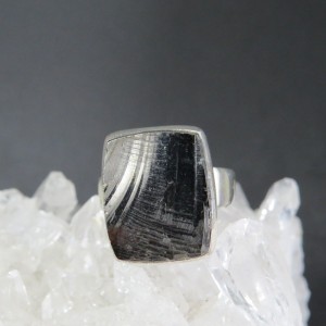 Anillo shungit y plata