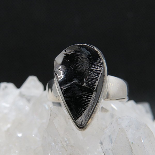 Anillo shungit y plata