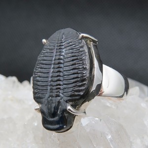 Anillo Trilobite y plata 925 mm