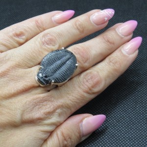 Anillo Trilobite y plata 925 mm