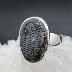 Anillo Trilobite y plata 925 mm