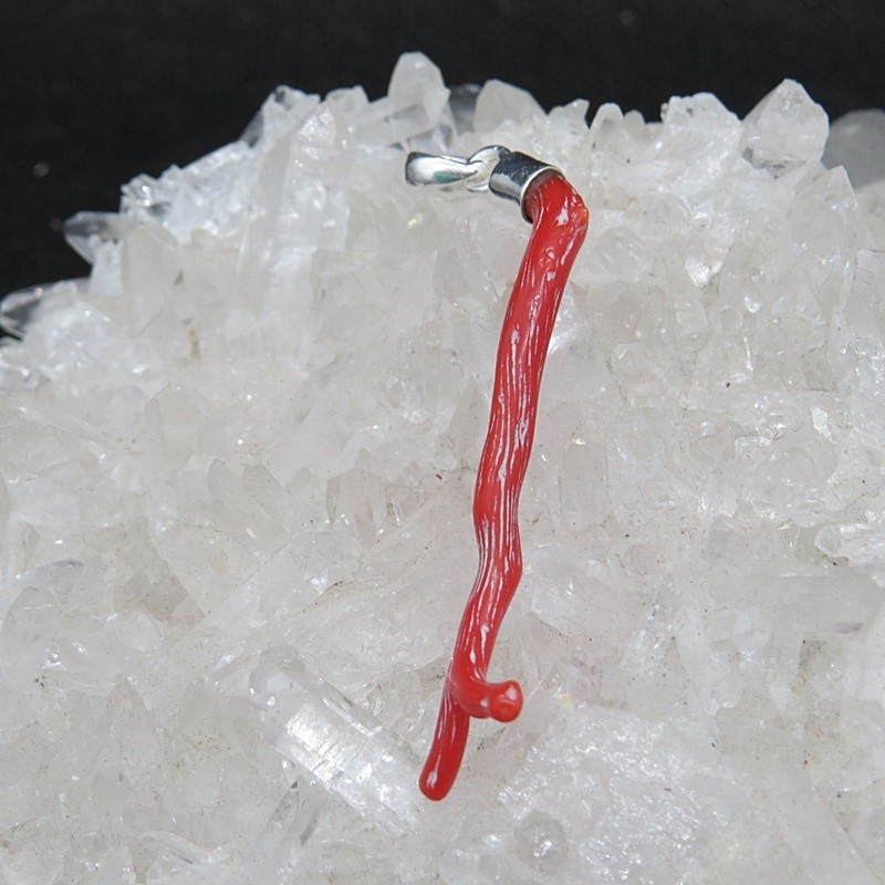 Colgante rama coral y plata