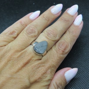Anillo shungit y plata