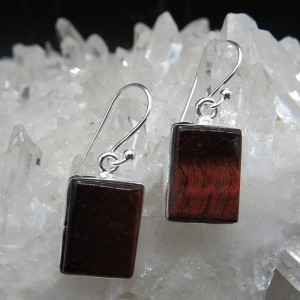 Pendientes ojo de buey y plata