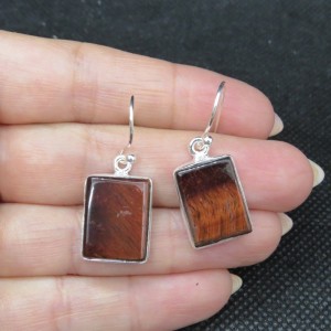 Pendientes ojo de buey y plata