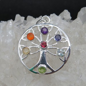 Colgante Árbol de la Vida Siete Chakras y plata