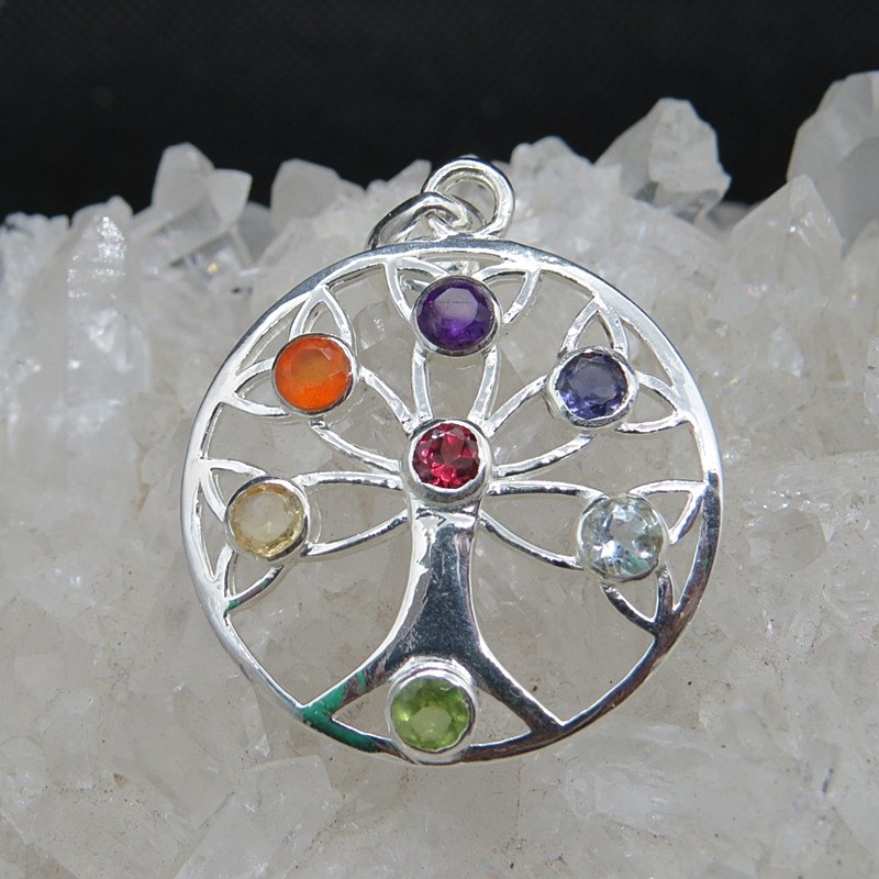 Colgante Árbol de la Vida Siete Chakras y plata