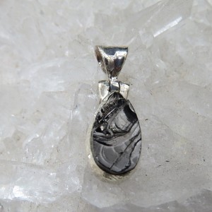 Colgante shungit y plata