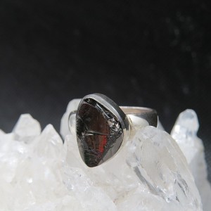 Anillo shungit y plata