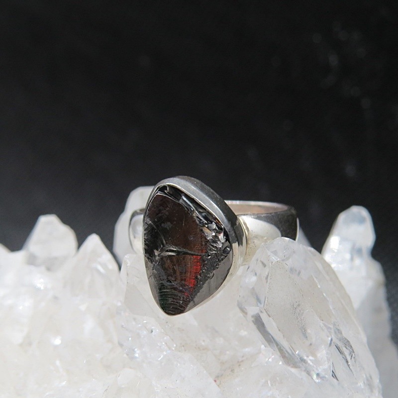 Anillo shungit y plata