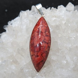 Colgante coral y plata