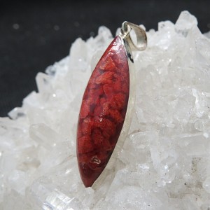 Colgante coral y plata