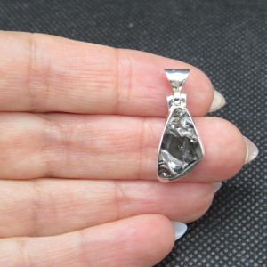 Colgante shungit y plata