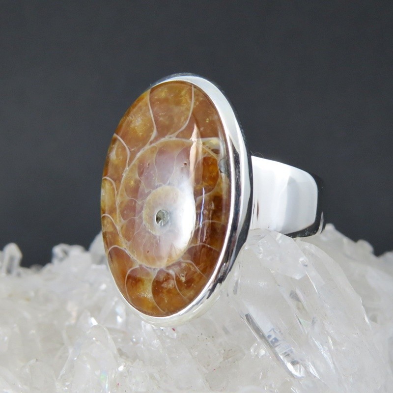 Anillo Ammonite y plata Anillo Ammonite y plata