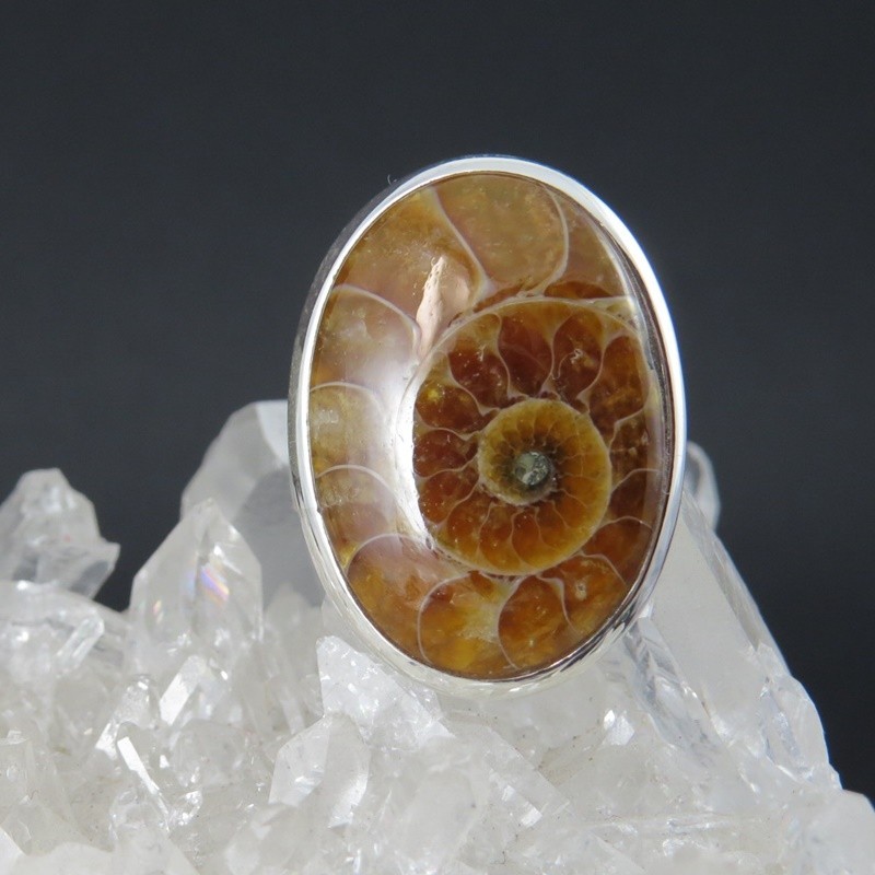 Anillo Ammonite y plata Anillo Ammonite y plata