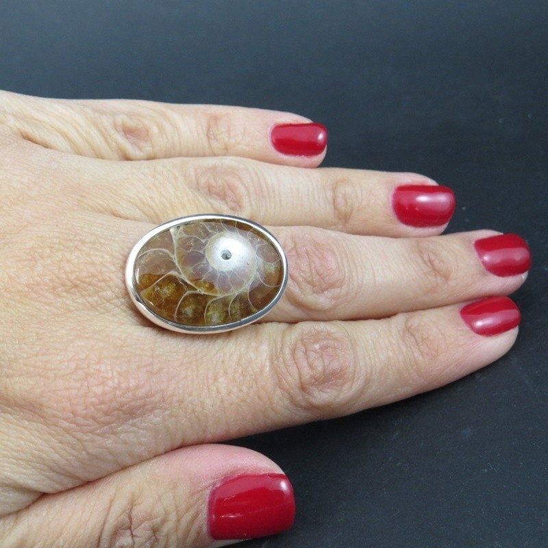 Anillo Ammonite y plata Anillo Ammonite y plata